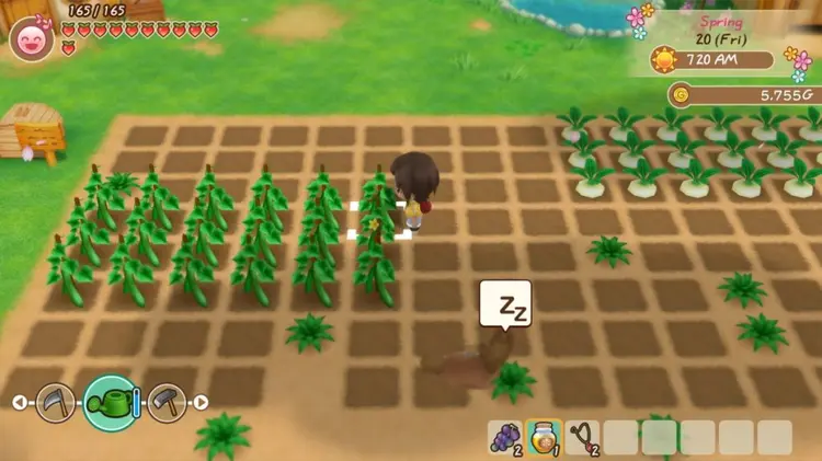 🧑‍🌾 5 เกมปลูกผักที่สายทำฟาร์มห้ามพลาด! 🌱