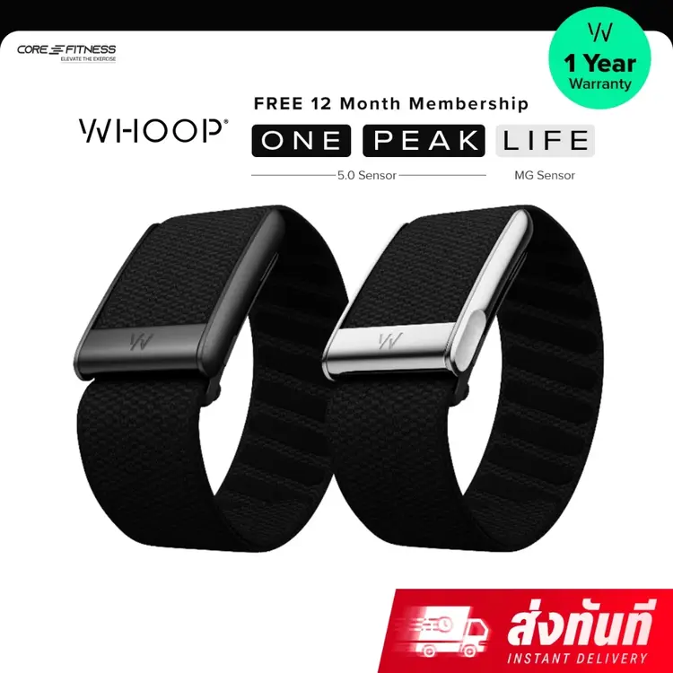 WHOOP 5.0 vs WHOOP MG – อุปกรณ์ติดตามสุขภาพสายจริงจัง ที่นักกีฬาและสายฟิตต้องรู้ ก่อนตัดสินใจสมัครสมาชิก