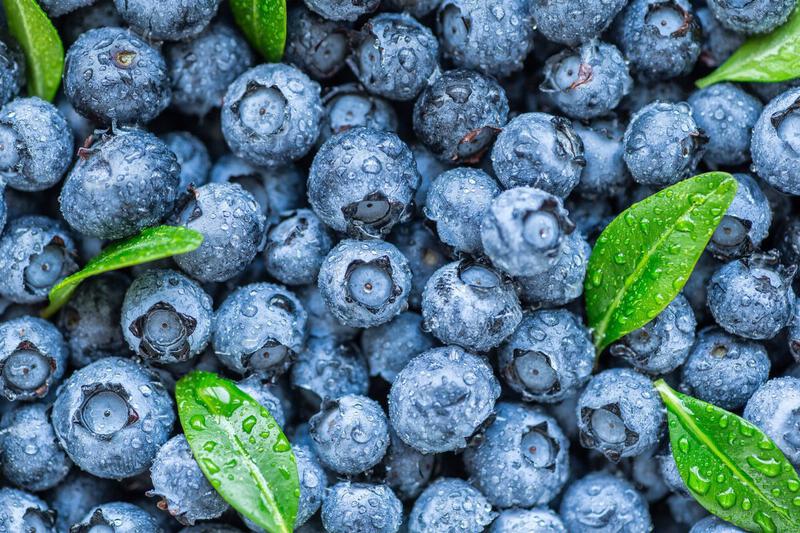 Health Benefits of Blueberries