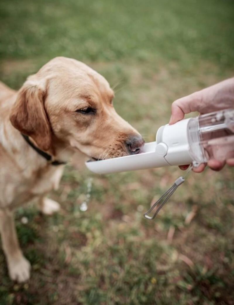This may contain: a person feeding a dog something out of a water bottle