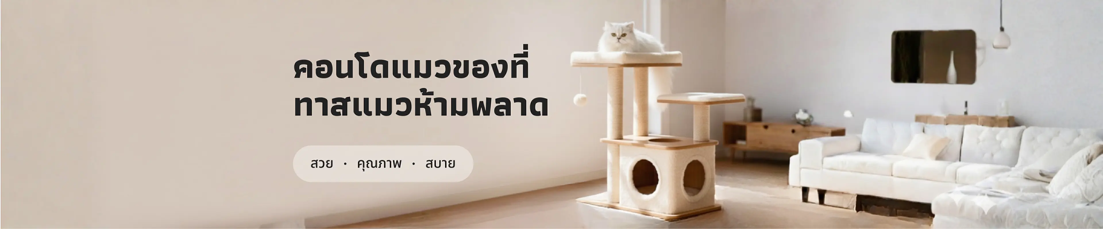 คอนโดแมวของที่ ทาสแมวห้ามพลาด! 🏠 เพราะน้องแมวก็อยากมีมุมโปรดเป็นของตัวเอง