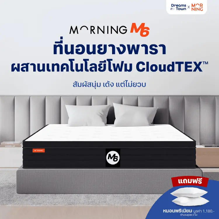 Morning Sleep: Morning Sleep M6, A2