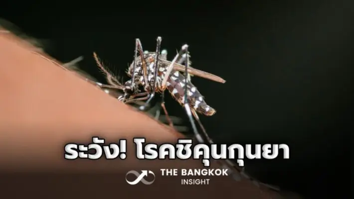 การป้องกันและควบคุมโรคชิคุนกุนยา