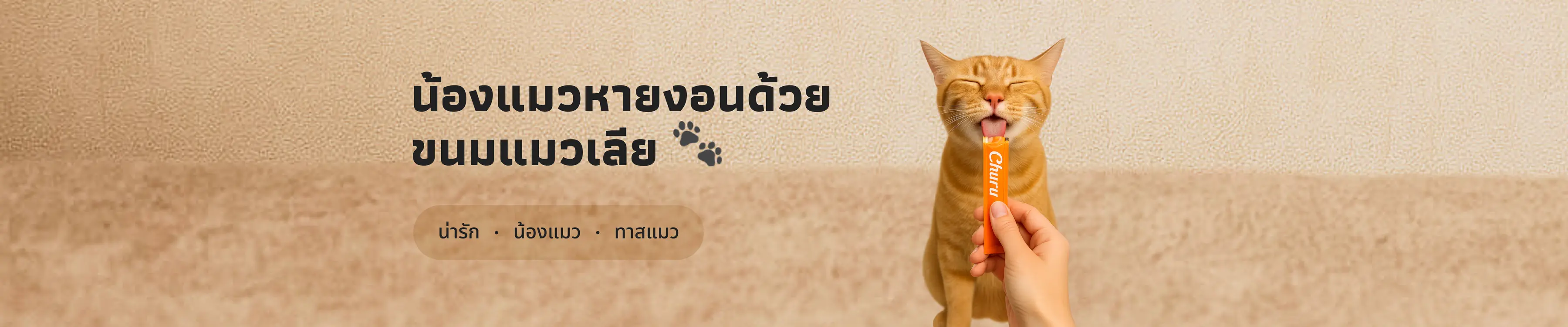 🐾 น้องแมวหายงอนด้วยขนมแมวเลีย