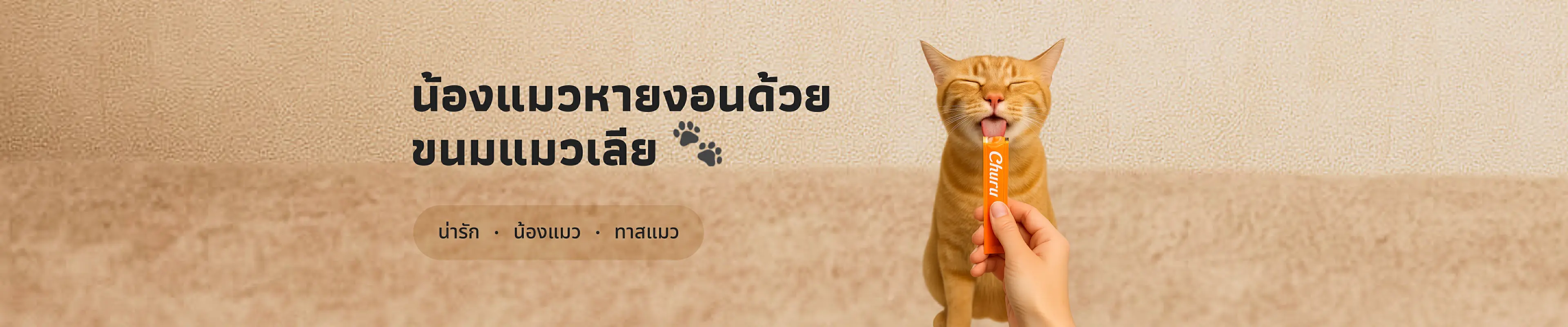 🐾 น้องแมวหายงอนด้วยขนมแมวเลีย