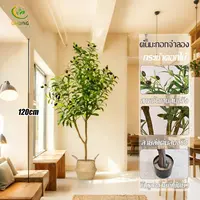 [ความจำลอง 99.9%]120/150/180cm ต้นไม้ปลอม ต้นโอลีฟ ต้นมะกอกปลอม สไตล์นอร์ดิกอิน ไม่ต้องบำรุงรักษา
