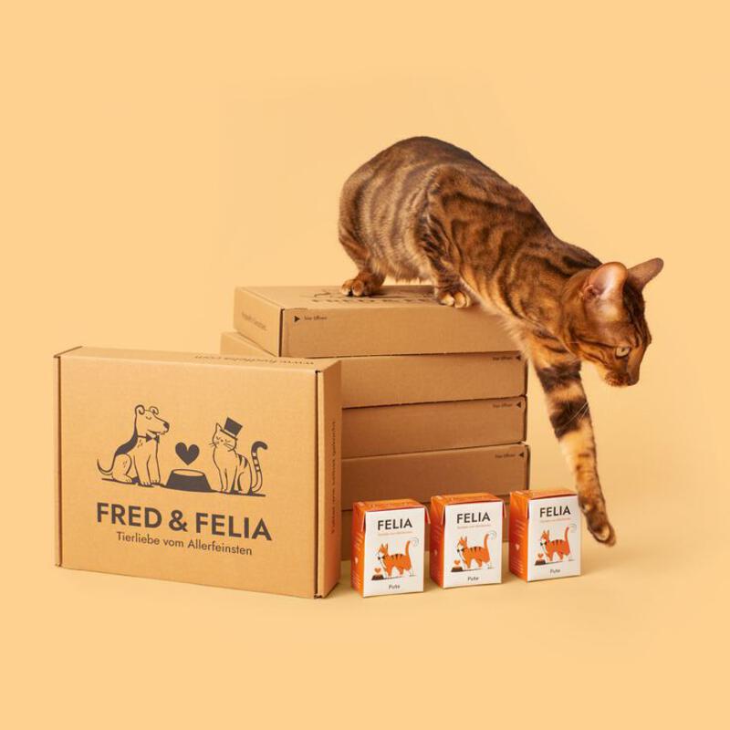 This may contain: a cat standing on top of boxes and playing with it