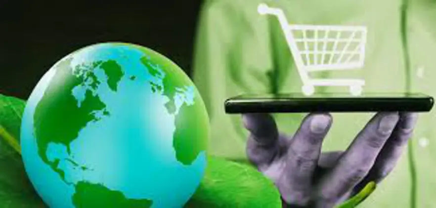 🌱 Green E-commerce  การขายของที่เป็นมิตรต่อสิ่งแวดล้อม