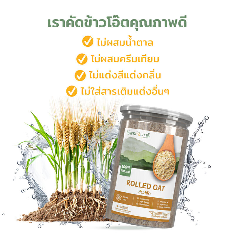 Product image ข้าวโอ๊ตรีดแบน มีอย. คัดพิเศษ เกรดพรีเมียม แบรนด์ไร่พระจันทร์ 250 กรัม MOONFARMS Oat Oatmeal โอ๊ต ข้าวโอ๊ต ข้าวโอ๊ตแผ่น 3