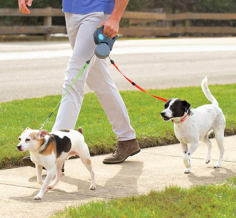 ความเชื่อผิด ๆ เกี่ยวกับการใส่สายจูงให้น้องหมา | Dogilike.com