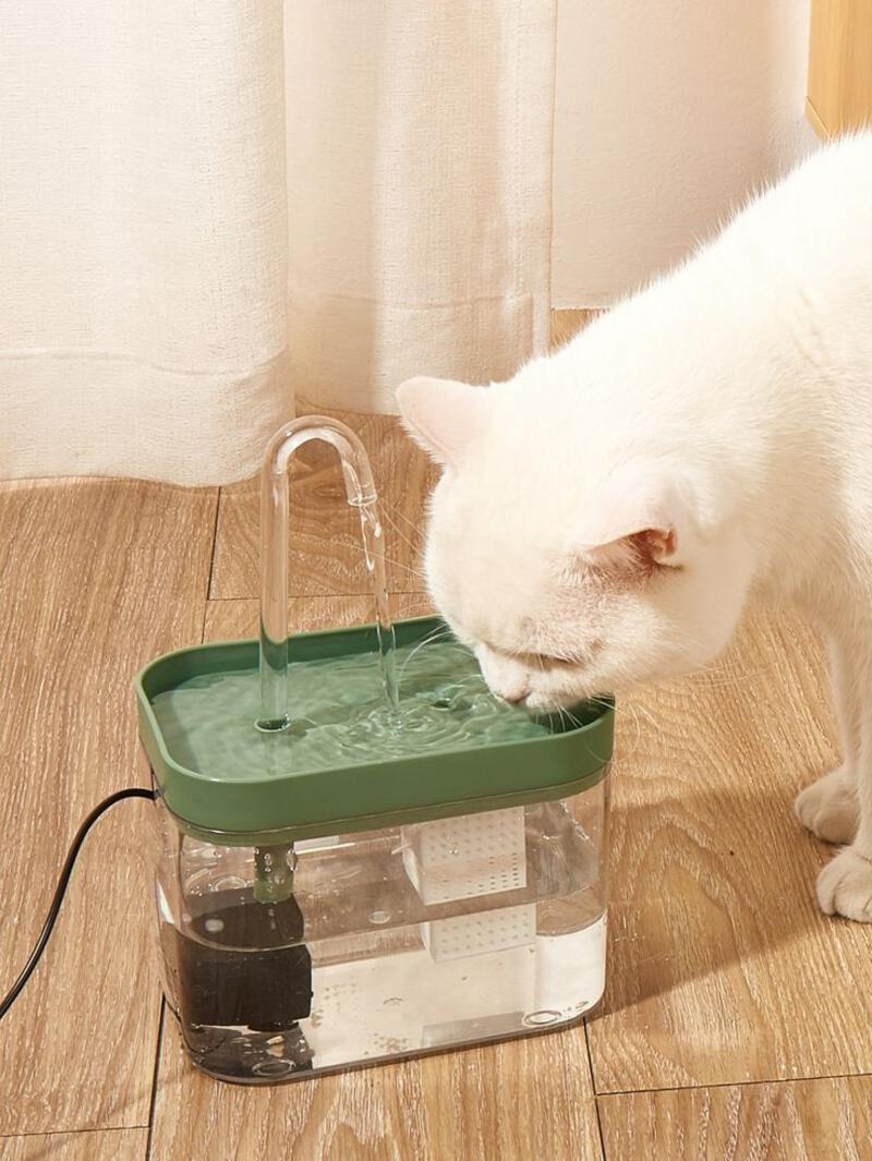 This may contain: a white cat drinking water from a fountain