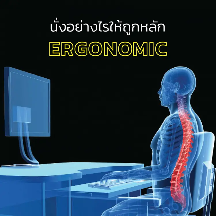 ที่รองหลัง เบาะรองเอว เบาะรองนั่งเพื่อสุขภาพ