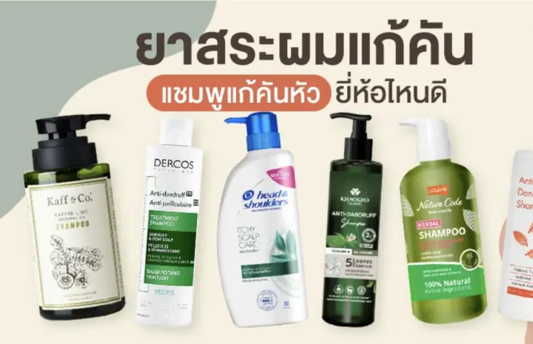 6 ยาสระผมแก้คัน แชมพูแก้คันหัว ยี่ห้อไหนดี ปรับสมดุลหนังศีรษะ ลดเชื้อรา หยุดผมร่วง