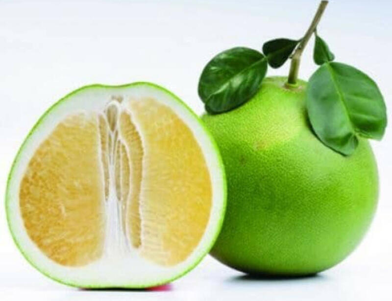 ส้มโอ (Pomelo) - Premium Seed Shop : Inspired by LnwShop.com (v2)