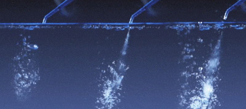 7784a769-5397-491c-b779-35b200d41b3b.png