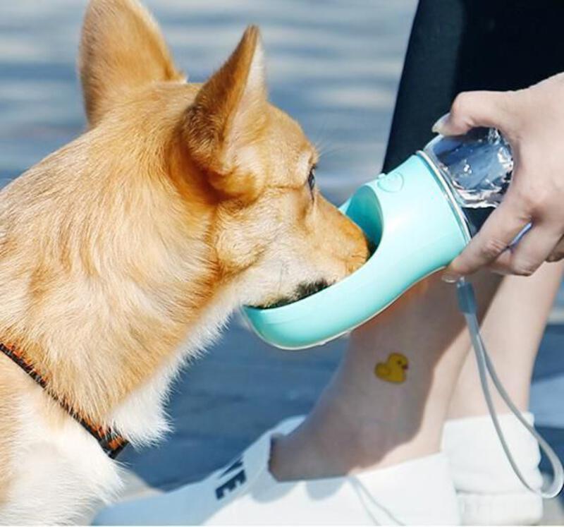 This may contain: a dog drinking water out of a cup with its owner