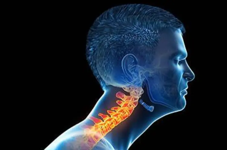คอตั้ง: ความสง่างามและสุขภาพที่ถูกขโมยไ