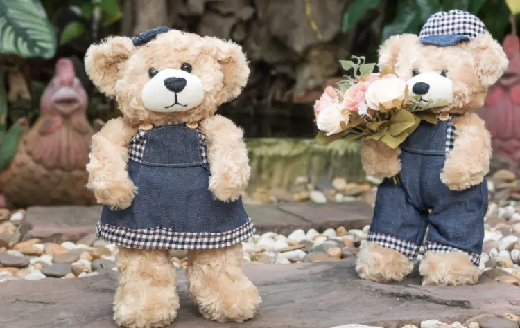 น้องเน่าเพื่อนรัก : ทำไมหลายคนถึงติดตุ๊กตาเหมือนเป็นส่วนหนึ่งของชีวิต