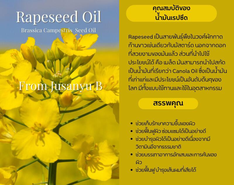 น้ำมันเรปซีด - Rapeseed Oil - thenaturalist