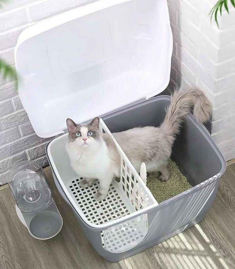 This may contain: a cat sitting in a litter box on the floor