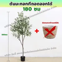 OzPro ลำต้นสีน้ำตาลเหมือนของจริง พร้อมกระถาง ต้นมะกอกปลอม ต้นไม้ปลอมขนาดใหญ่ ส่งสินค้าจากไทย ต้นโอลีฟ ขายตรงจากโรงงาน