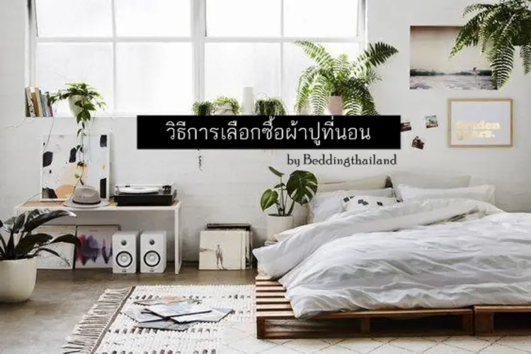 เคล็ดลับฉบับมือโปร เลือกซื้อผ้าปูที่นอน ตลอดปี 2024