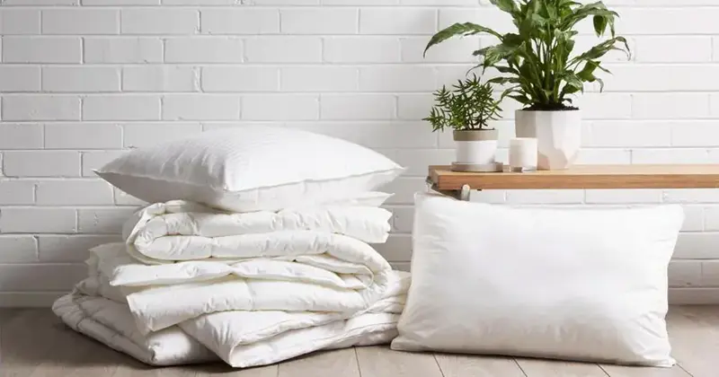 เลือกหมอนให้ถูกวิธี อีกหนึ่งปัจจัยที่จะช่วยเสริมคุณภาพการนอนหลับให้ดีขึ้น