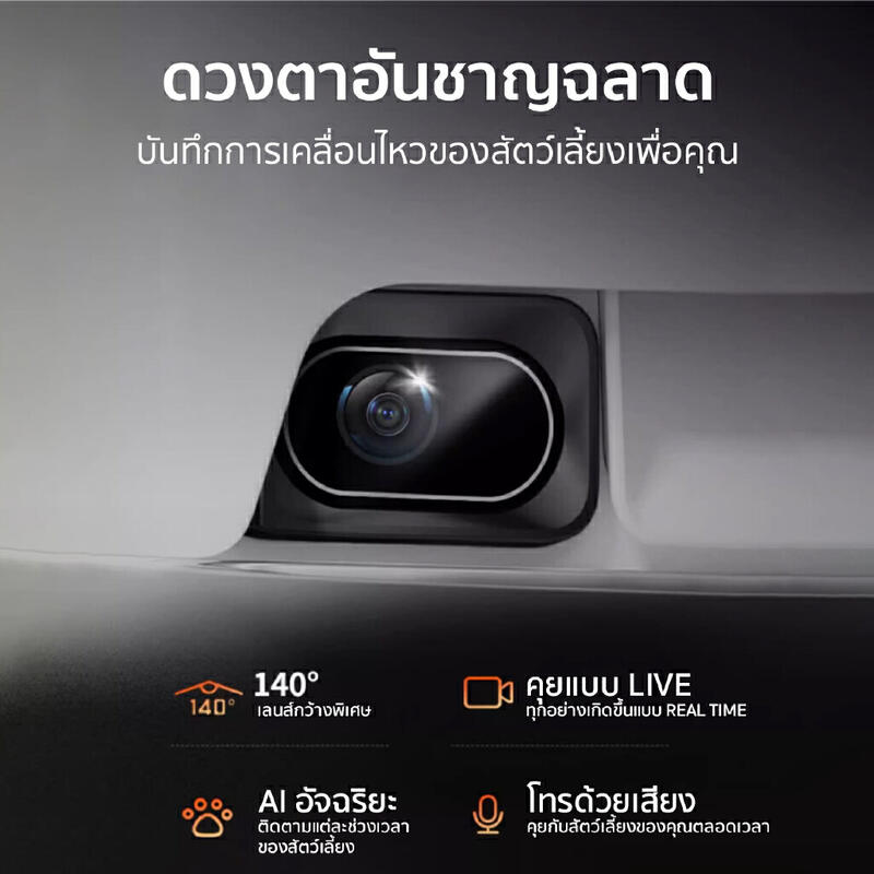 ab38571bc3c146af9f07cda08fa3a105.png