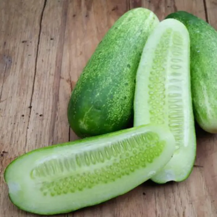 ทำไมหลาย ๆ คนถึงไม่ชอบแตงกวา? 🥒