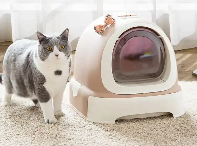 ห้องน้ำแมวอัตโนมัติ : ไอเท็มที่ช่วยให้ชีวิตทาสแมวสะดวกขึ้นหลายเท่า