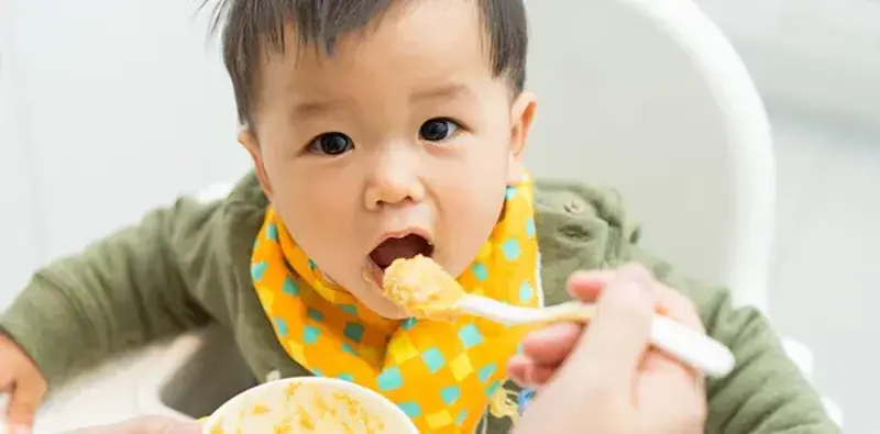 b6ee423d-d70f-4a59-9166-7d1847534a80.webp