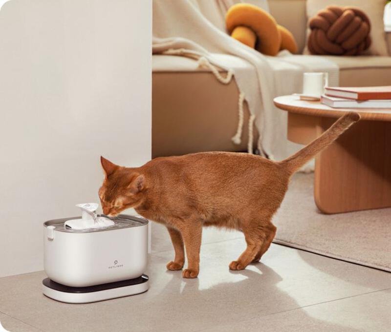 This may contain: a cat standing next to a water fountain on the floor in front of a couch