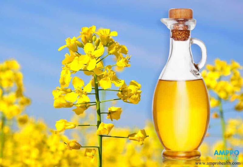 ประโยชน์ของน้ำมันคาโนลา ( Canola Oil ) - AM Pro Health