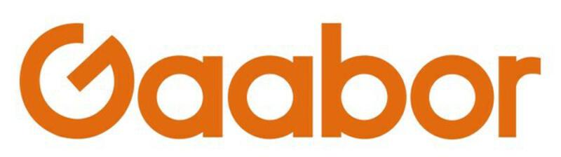 Gaabor Launches 9.9 Super Sales on TikTok | DigiconAsia