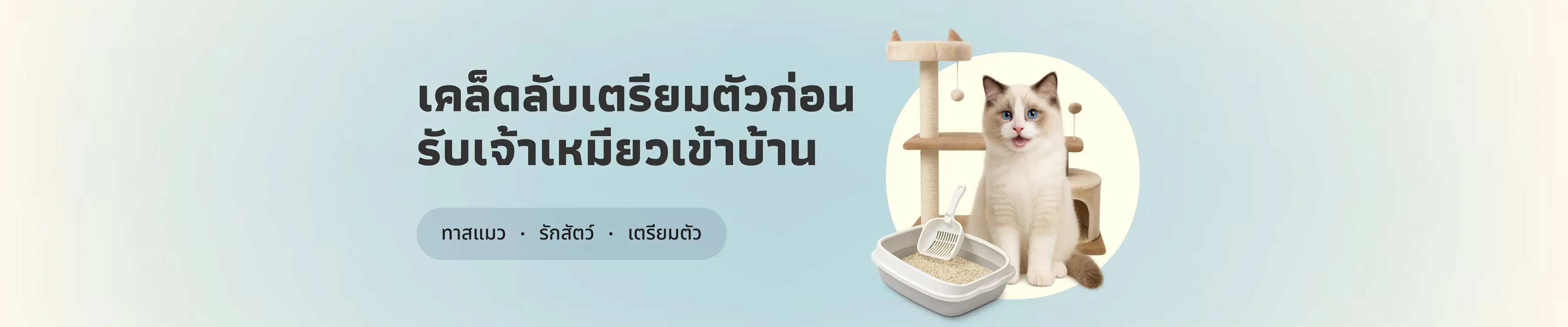 ทาสแมวมือใหม่ต้องรู้! เคล็ดลับเตรียมตัวก่อนรับเจ้าเหมียวเข้าบ้าน