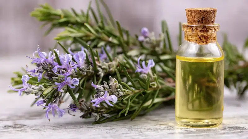 เครียดอยู่ใช่ไหม? รวม 6 กลิ่นหอมช่วยผ่อนคลาย ทำให้นอนสบายง่ายขึ้น |  Dreamstown