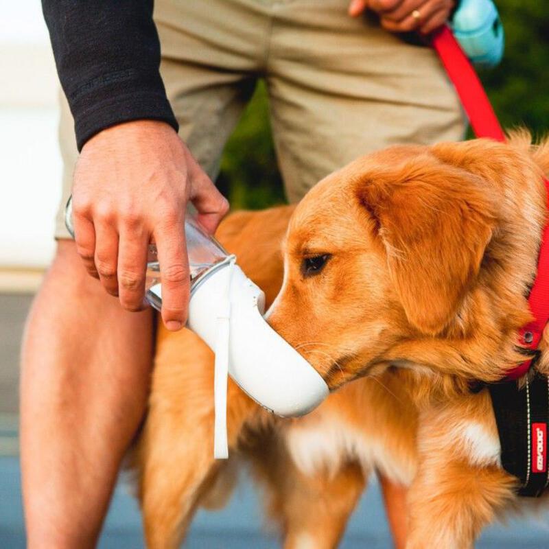 This may contain: a dog drinking out of a cup while being held by its owner