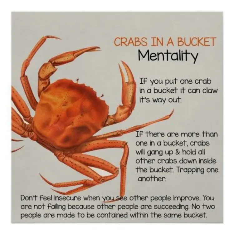 มารู้จัก “Crab Mindset” กับดักทางความคิดที่ฉุดเราจากการเติบโต