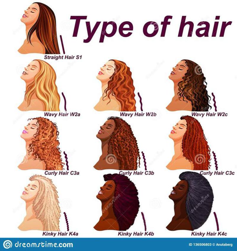 Hair Types Chart Displaying All Types and Labeled Stock Vector -  Illustration of caucasian, labeled: 136506803
