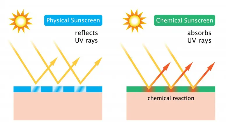 ครีมกันแดด Physical vs Chemical