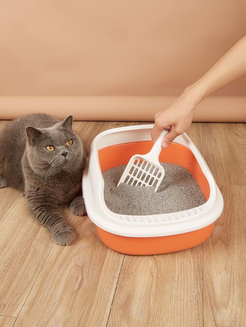 This may contain: a cat laying on the floor next to a litter box