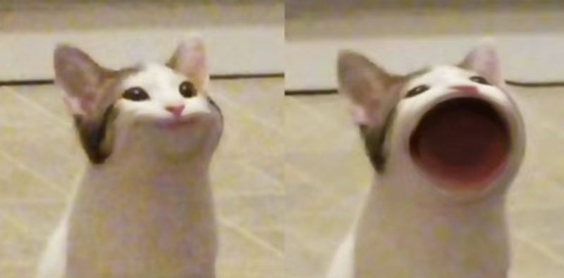 f79ecbedc25844c98b62d4c090279acb.png