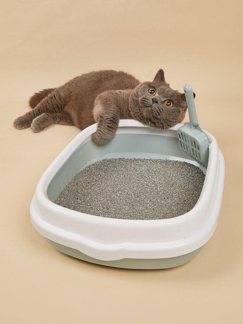 This may contain: a cat laying on top of a litter box